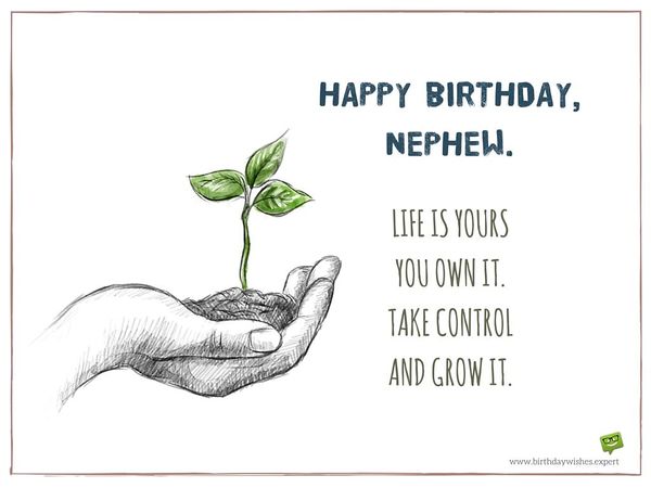 Life Is Yours You Own Nephew Birthday Wishes