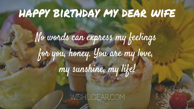 No Words Can Express My Feelings Wife Birthday Wishes