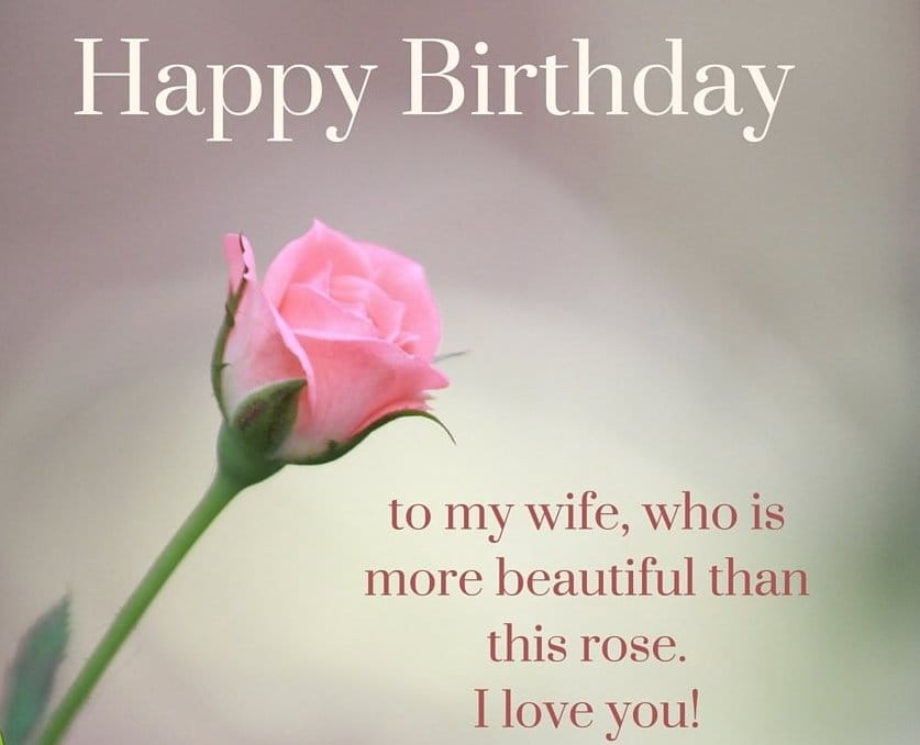 To My Wife Who Is More Beautiful Wife Birthday Wishes