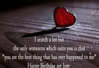 I Search A Lot GirlFreind Birthday Wishes